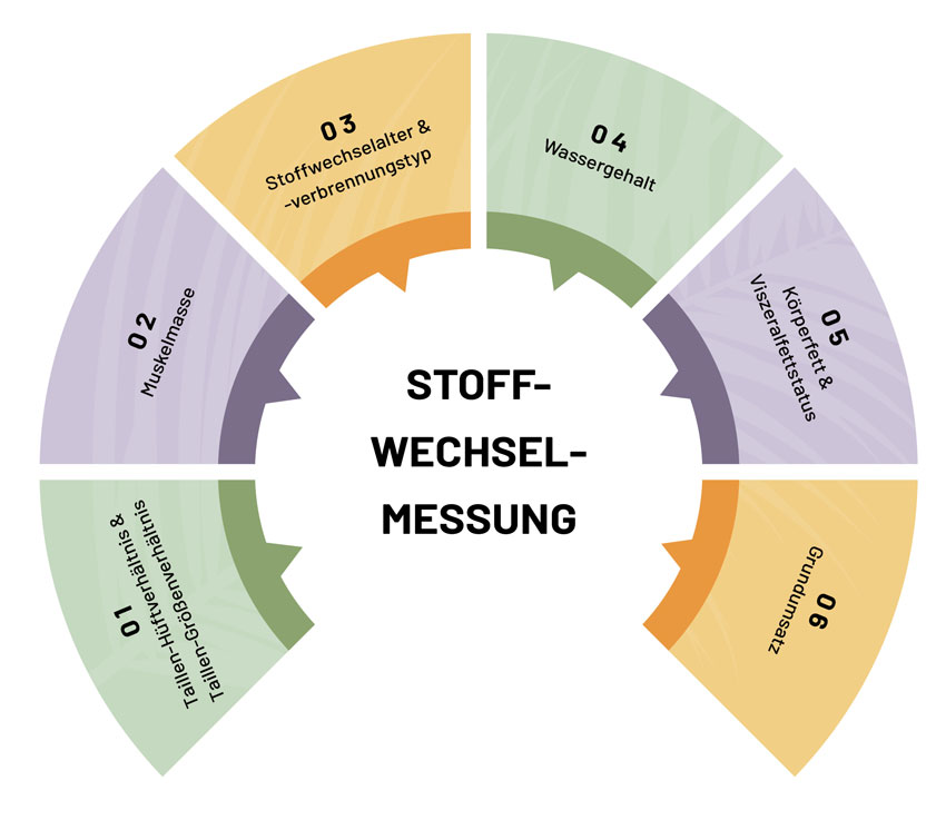 stoffwechselmessung